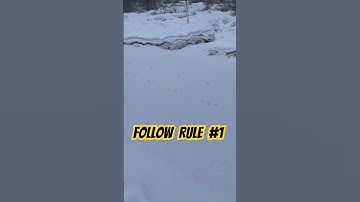 Trapping Rule #1: Set On Sign #trapping #mink #marten