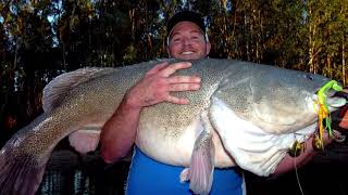 IFISH Monster Murray Cod with Rod!
