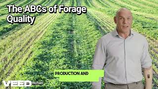 The ABCs of Forage Quality : Unlocking Better Feed and  Healthier Dairy Herds