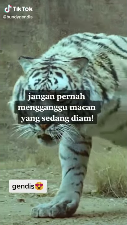 Harimau Prabu Siliwangi