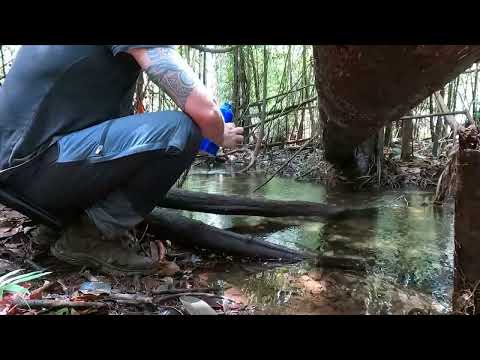 Off The Sofa - The Amazon Wie bereite ich Trinkwasser auf?