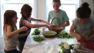 Episode 6. Homestead Beginnings: Spring