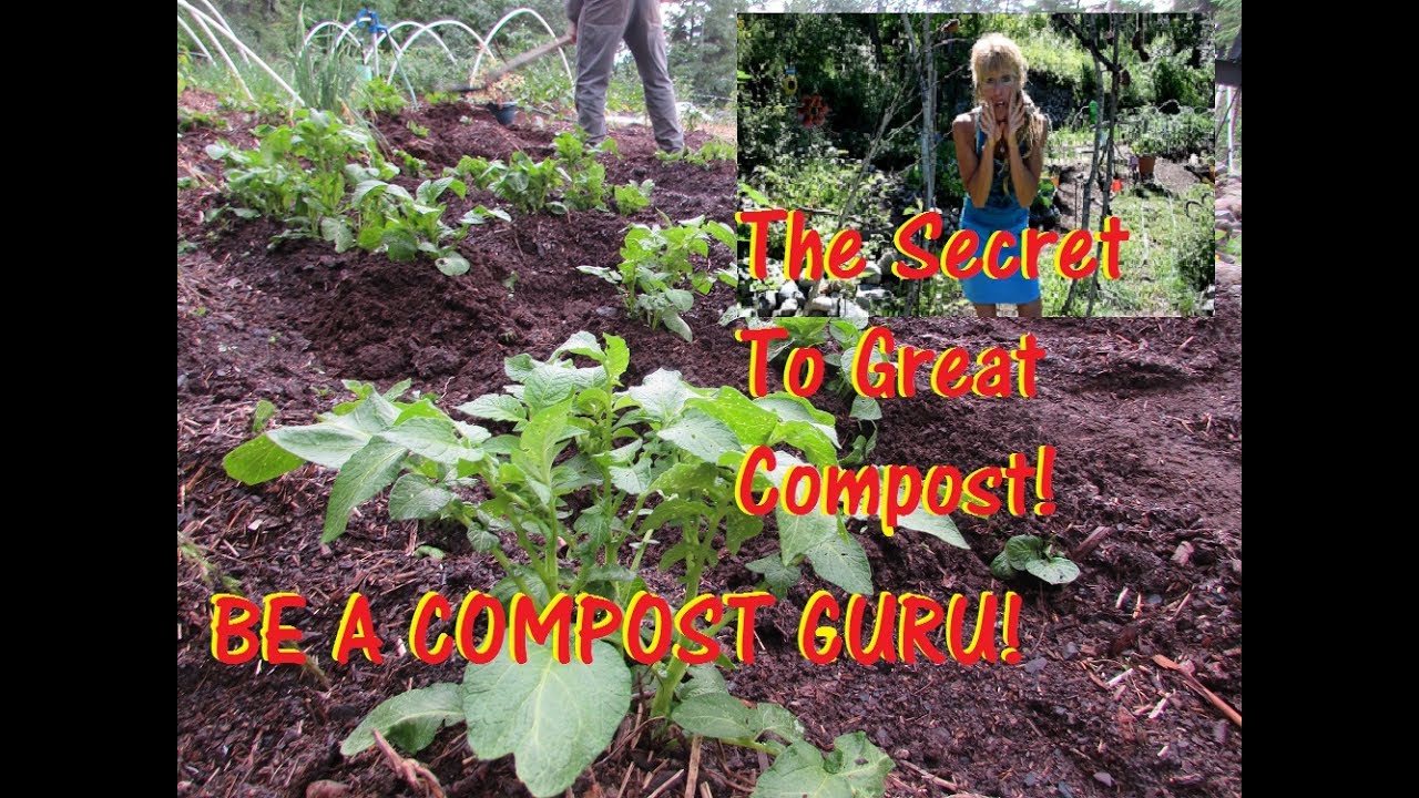 How To Make Organic Compost At Home From What? YouTube
