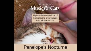 Penelope's Nocturne