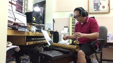 Xa Khơi - Nguyễn Tài Tuệ - Đàn Bầu Trường Giang