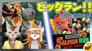 【スプラトゥーン3】オカシラ連合を返り討ちにしてやれっ！【バイトコラボ】