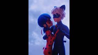 Ladybug and Cat Noir