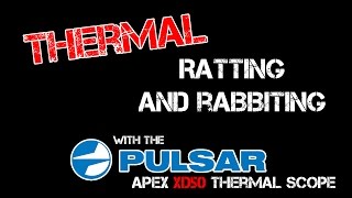 Ratting and Rabbiting with the Pulsar Apex XD50 Thermal Riflescope