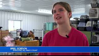 Animal rescue encourages local community to step up