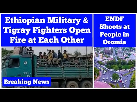 የኢትዮጵያ ወታደራዊ እና የትግራይ ተዋጊዎች እርስ በርስ ተፋጠጡ