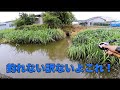 せっかくなら釣りたいよね。落とすだけで7本。誰でも出来る。