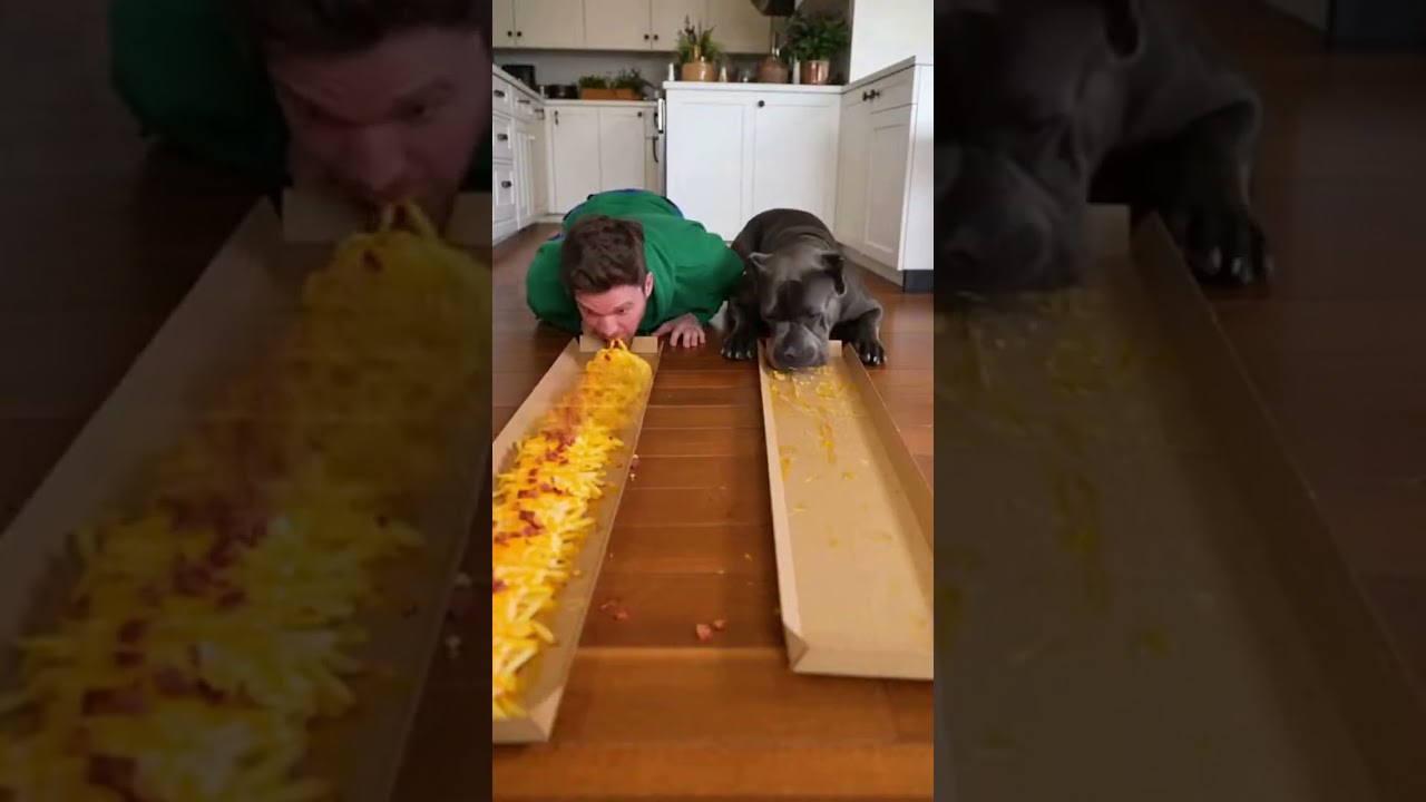 Food challenge | These fries were way too messy 🍟😭 