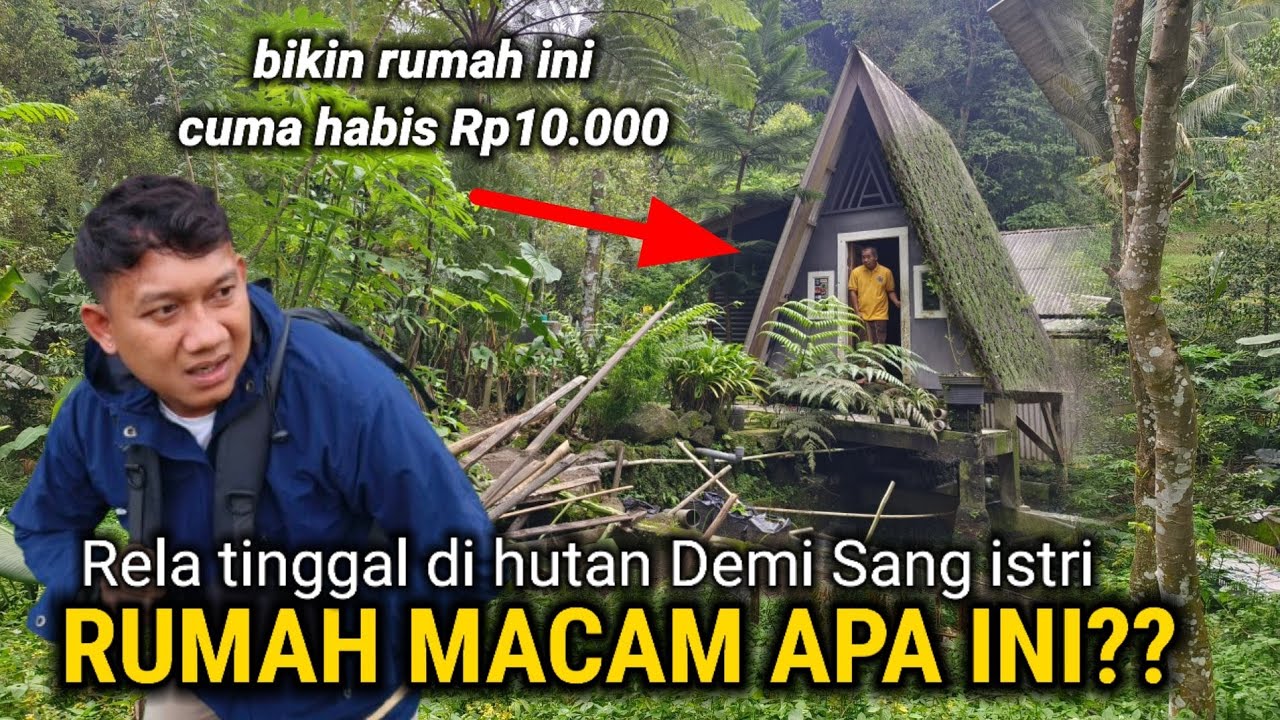 BERTAHAN HIDUP SELAMA 10 TAHUN DI TENGAH HUTAN GAK NYANGKA ADA ORANG TINGGAL DI RUMAH UNIK DAN ANEH