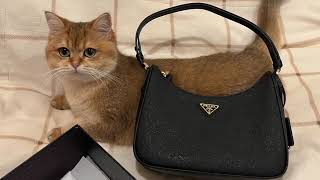 Prada Saffiano Leather Mini Bag  Hymme's Luxury Vlog 14 