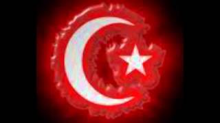 Vatan destanı