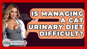 Is Managing A Cat Urinary Diet Difficult? - Ask A Pet Vet