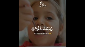 تلاوة بصوت يشرح الصدر ..|| حالات واتس اب دينية قران ♡ مقاطع دينية قصيرة موثرة ♡ مقاطع انستقرام دينية