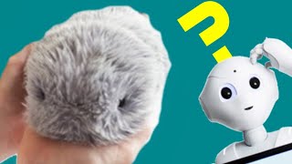 MOFLIN, a shockingly Realistic Robot Pet & More || AI and Robotics Recap