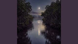 Theta Rhythm 5.78 Hz - Full Night Rest