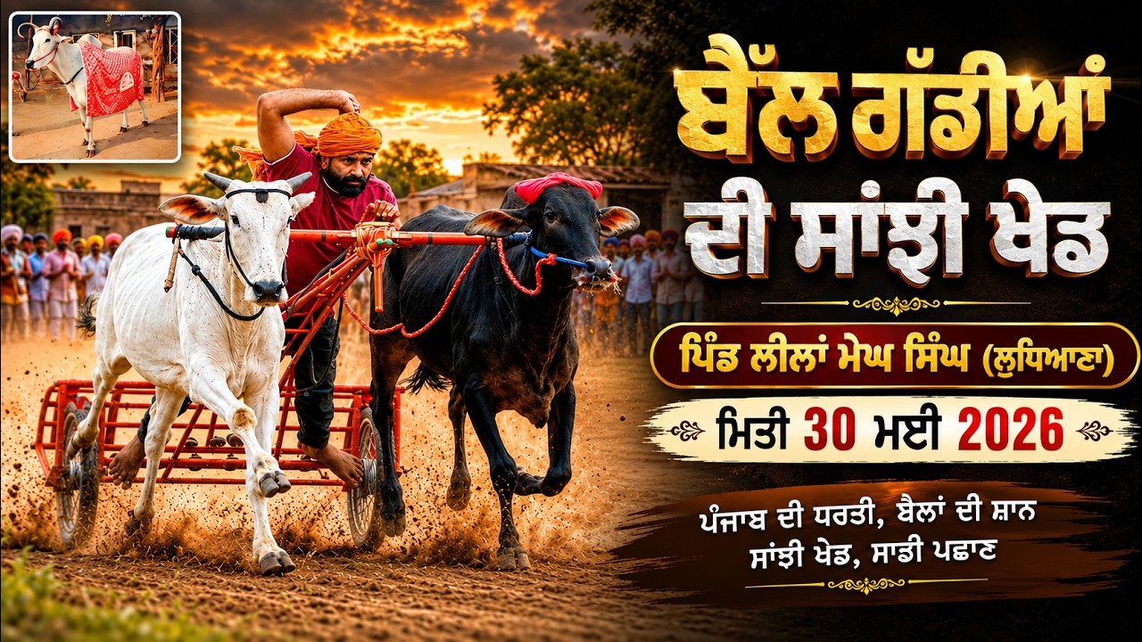 🔴4K [LIVE] LEELAN MEGH SINGH (Ludhiana) Ox Races 30 May 2026 | Today Ox Races Live