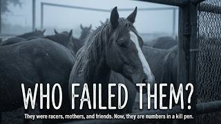 24 Thoroughbred Broodmares Ended up in a Kill Pen: How Did This Happen?