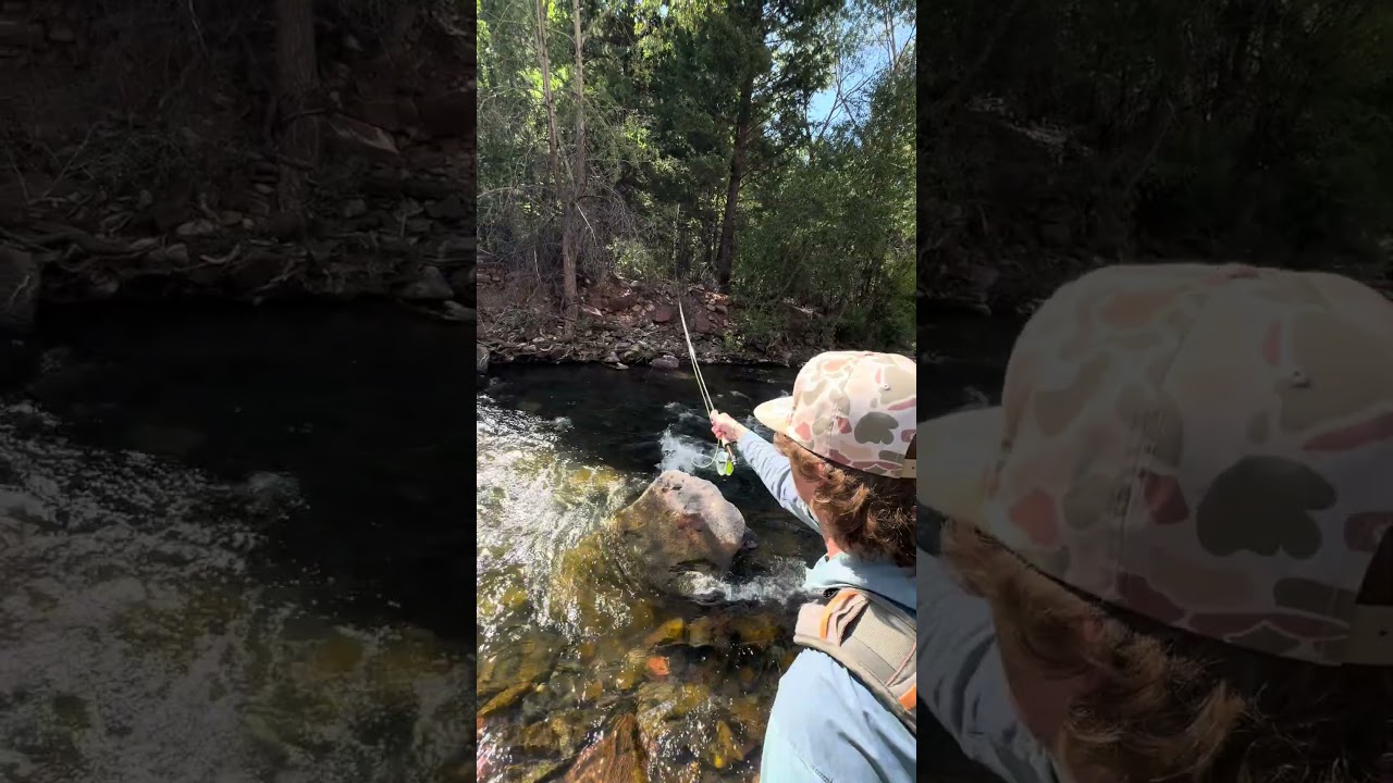 Sage 490-4 R8 Core - Telluride Angler