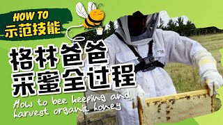 澳大利亚农场生活 【How to】如何养蜂及采集蜂蜜 – 家庭养蜂必看8大基础要点  Beekeeping and Harvest Honey