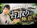 苔取り生体について熱く語ります!苔取りの極意!山田編
