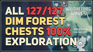 Dim Forest 100% Exploration All Chests Wuthering Waves screenshot 4