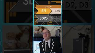 Loading Images From SD Card on Pico 2 #raspberrypipico #lvgl #tutorial