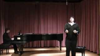 Dante Zuccaro Sings Mit Gewitter Und Sturm, Steuermann From Der Fliegende Holländer By Wagner