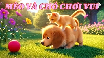 Mèo Và Chó Chơi Đá Bóng – Nhạc Thiếu Nhi Vui Nhộn 3D | Kids Songs Cartoon
