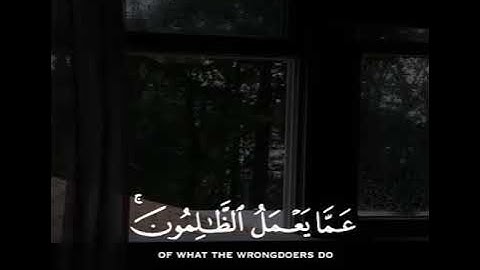 قراءة هادئة من سورة إبراهيم بصوت القارئ عبدالرحمن مسعد 🌿