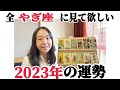 すご…超超超最高の年!!【2023年やぎ座の運勢】圧倒的に最強のカードが出揃いました…!!解放と自分の世界の完成です。