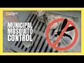 As cities target mosquitoes, important health data is gained | #mosquito