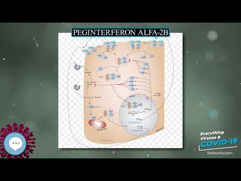 Vidéo: Différence Entre Le Peginterféron Alfa 2A Et 2B