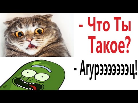 Лютые приколы. КОТ ПРОТИВ ОГУРЦА!!! Тест на психику! Засмеялся проиграл! – Domi Show!