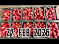 Karachi Sabzi Mandi 27 Feb 2026 rates today| Karachi Fruit Mandi rates todayKarachi 