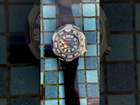 Citizen Promaster Beastzilla