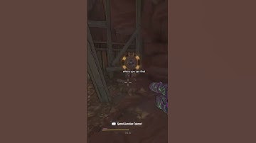 Secret Developer Room In BorderLands 3