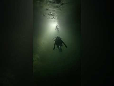 The Most Terrifying Sound in the World.