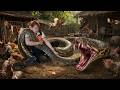 Shocking Farm Attack 😱 Giant Python Invades Chicken Farm - Chicken Farm Turns Into Nightmare!
