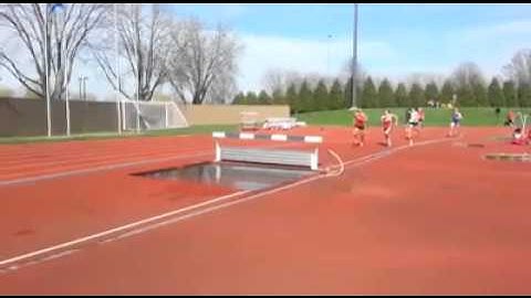 Tv funny The Steeplechase Water Jump FAIL