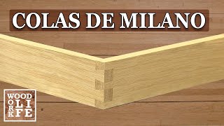 Colas de milano cortadas a mano: ¡GENIAL! | Consejos para el taller