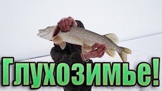 ПОЕХАЛИ НА РЫБАЛКУ С НОЧЕВКОЙ И КОМФОРТОМ 2019! В ГЛУХОЗИМЬЕ ТОЖЕ КЛЮЕТ!🐠 ПОЕХАЛИ НА РЫБАЛКУ С НОЧЕВКОЙ И КОМФОРТОМ 2019! В ГЛУХОЗИМЬЕ ТОЖЕ КЛЮЕТ!🐠