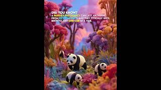 Panda Pregnancy Facts Duration, Birth, And Surprising Insights