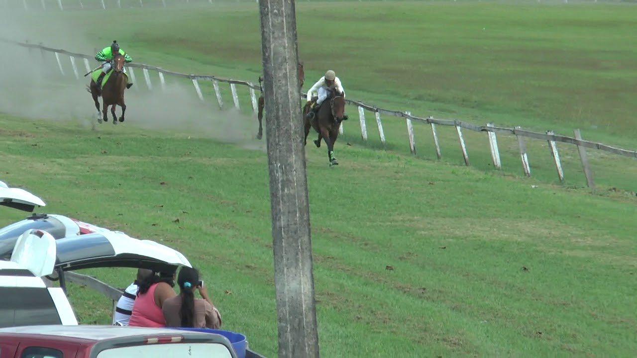 Horse Race People's Stadium February 3, 2019F 4 Furlongs YouTube