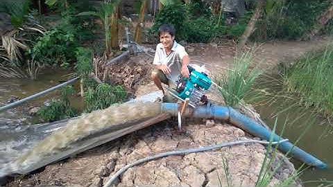 máy bơm nước ruộng 5.5hp ( thăm lại đầu bơm củ) 0901052969