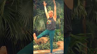 Feeling Balanced? Welcome your November with Erins new 25 Min Balanced Flow Yoga Class
