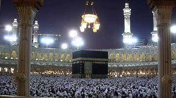 القرآن الكريم : سورة محمد Quran Translation -Ghamdi: Muhammad : 47